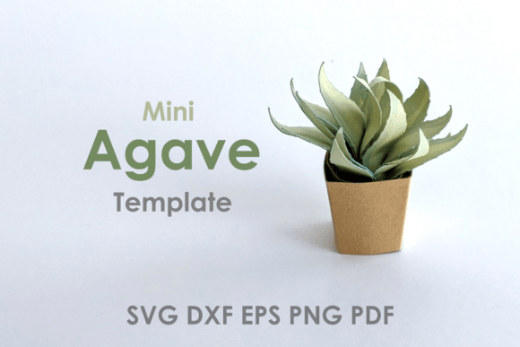 Mini Agave Plant Template DIY: A Creative and Practical Guide